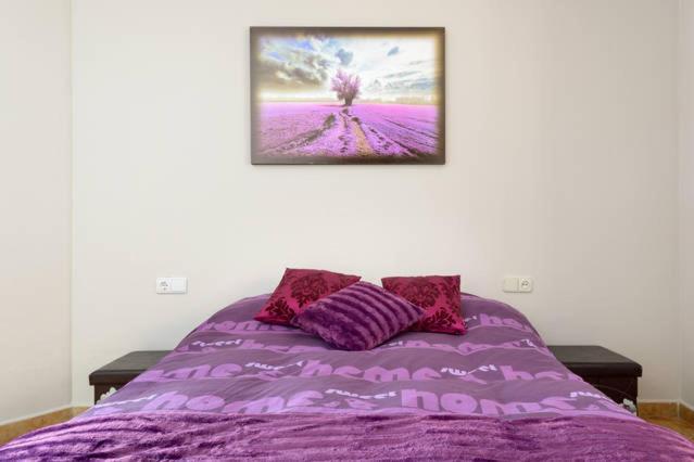 Apartamento En Pleno Centro, Wifi, Ideal Lägenhet Granada Exteriör bild