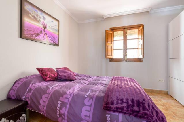 Apartamento En Pleno Centro, Wifi, Ideal Lägenhet Granada Exteriör bild